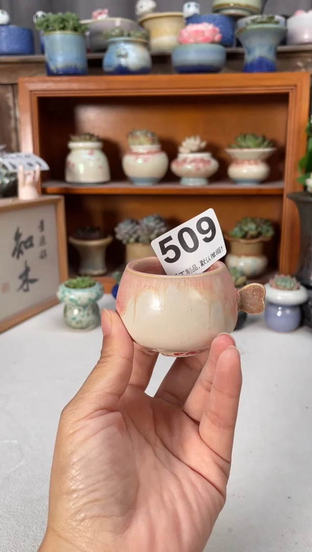 瓷片509小芳直播编号