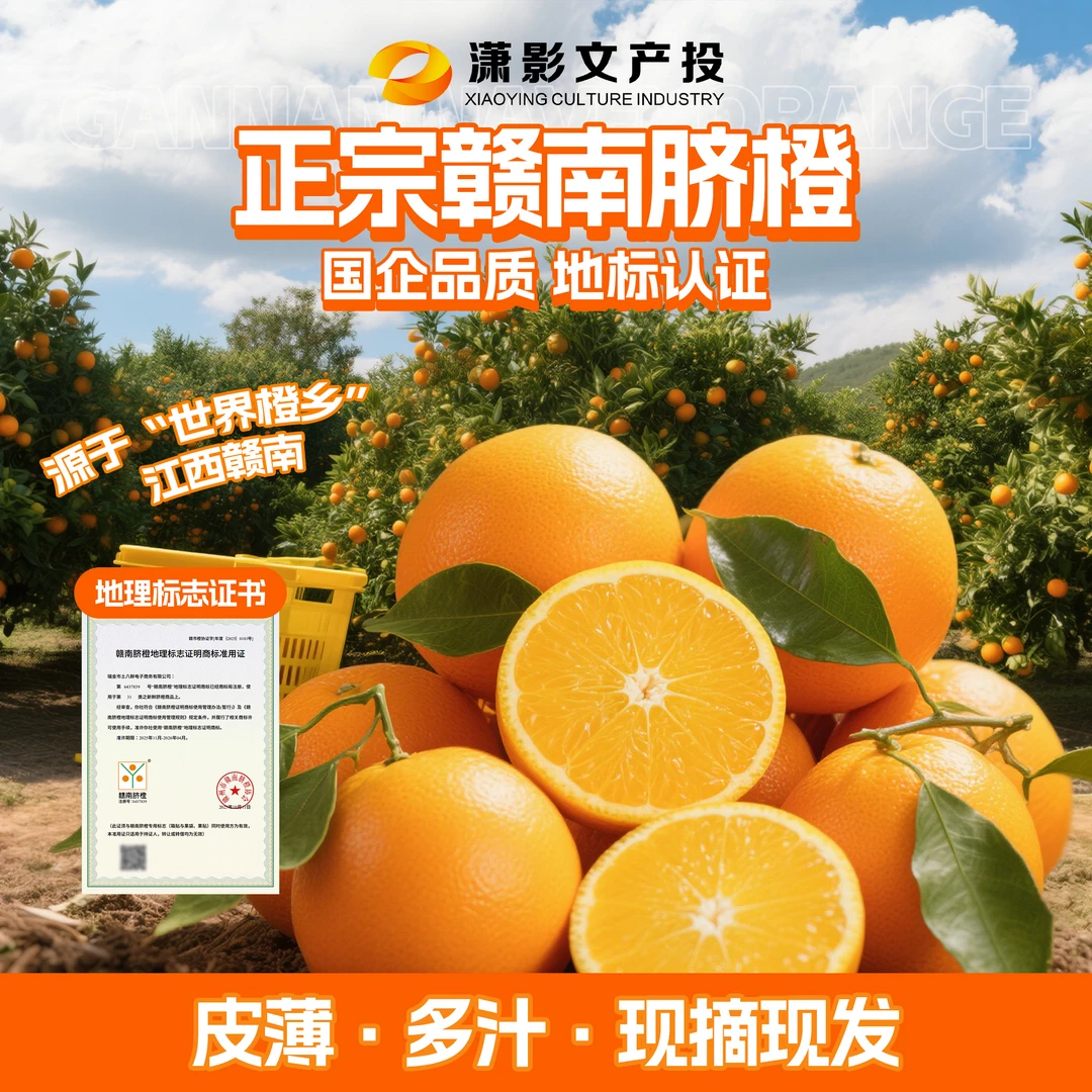 品质严选丨正宗赣南脐橙纽荷尔当季新鲜现摘孕妇儿童水果5/10斤