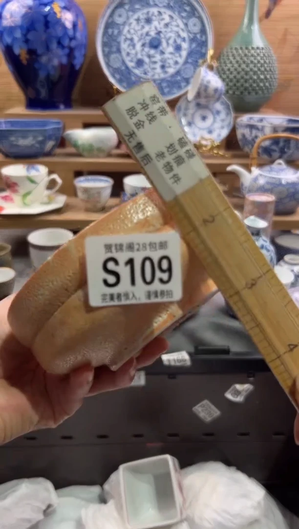 瓷片赛*赛       S109