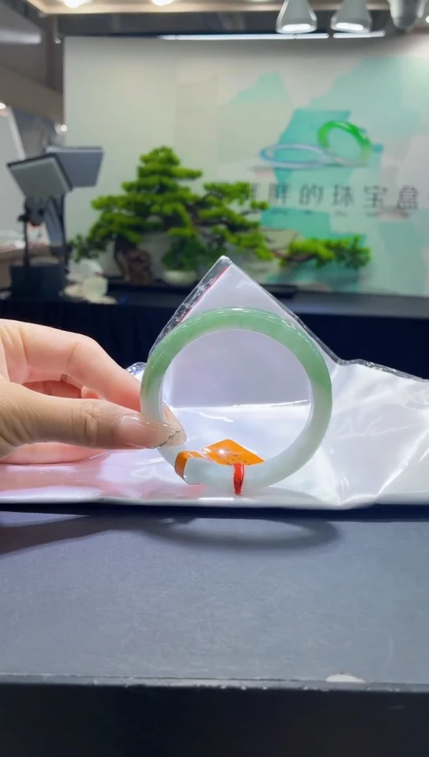 未镶嵌手镯翡翠13