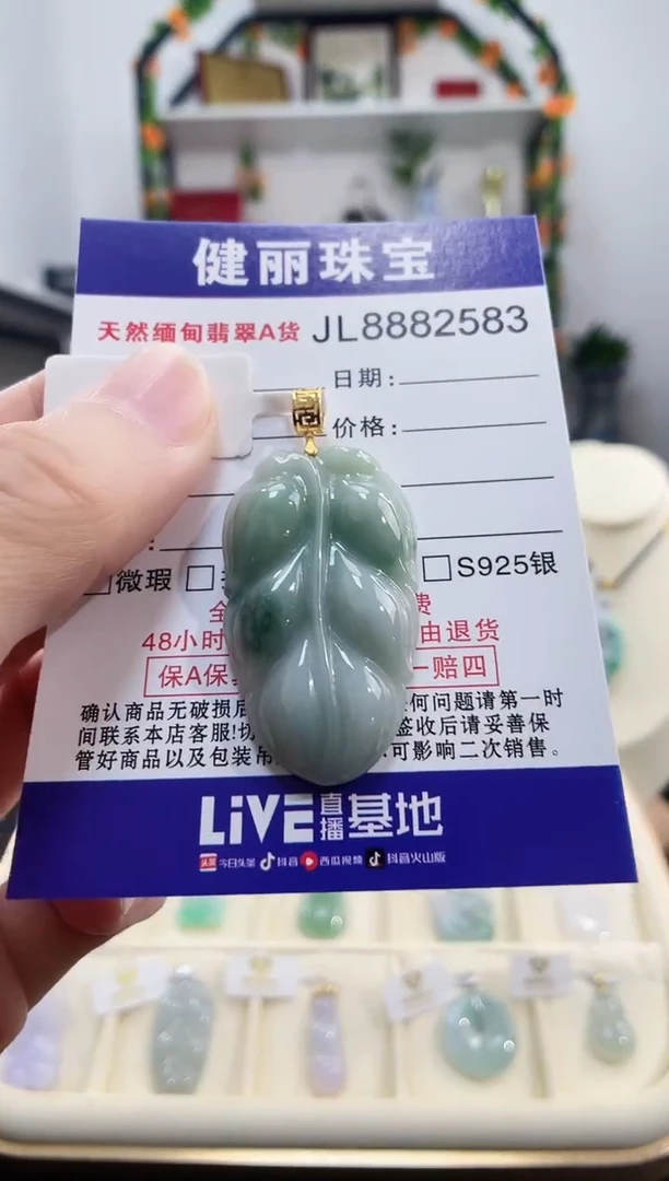 颈饰18K金镶嵌翡翠天然缅甸翡翠 金枝玉叶(一物一证)+银链