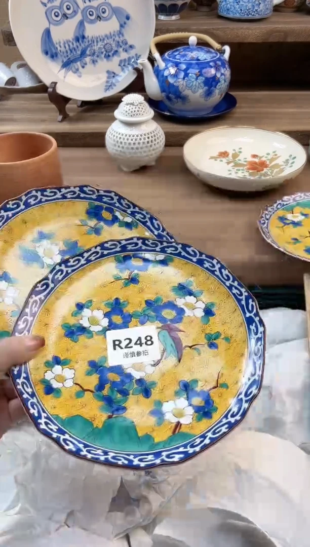 瓷片宁**生          248