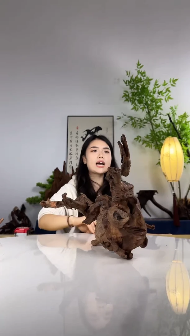 确*拍沉木定向链接编号64