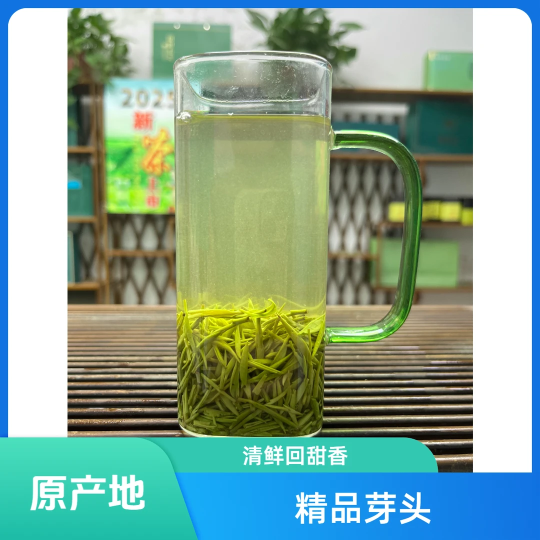 (2025雨前芽头）福利款信阳绿茶毛尖  高山旱茶  花香型绿茶