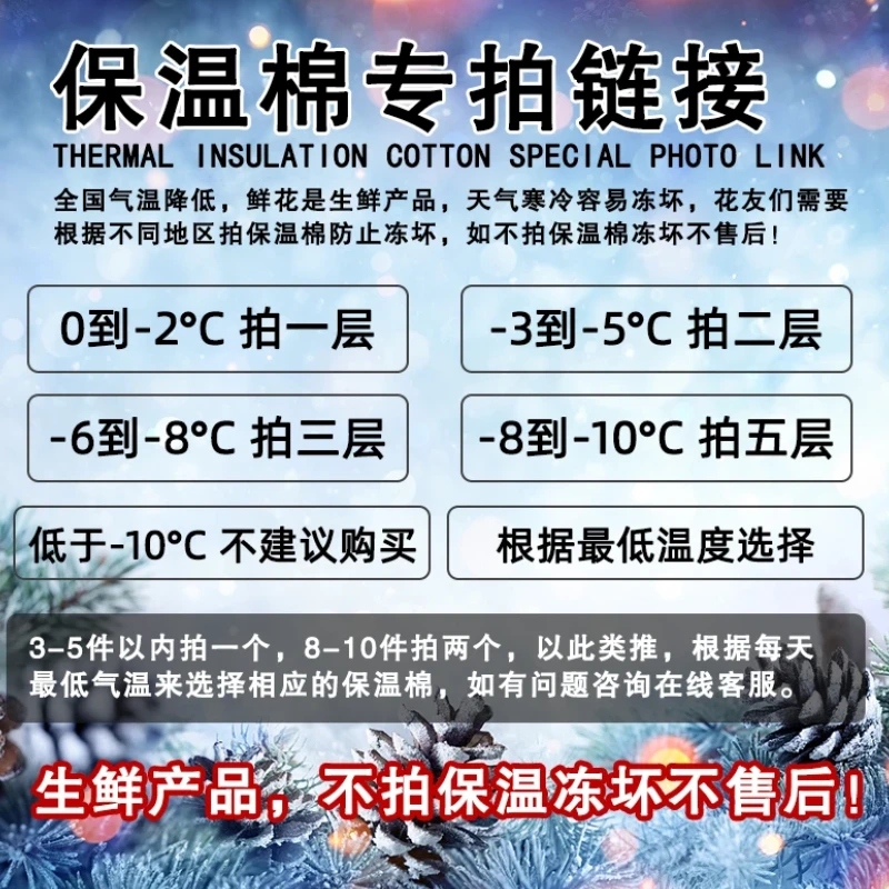 (鲜花保温棉）当地气温低于5度一下请拍不拍冻坏不售后不参与凑单