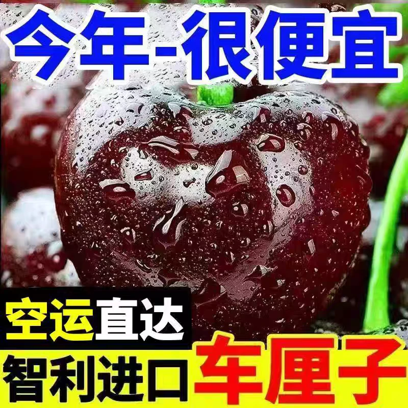 【现货包邮】J-4J智利空运车厘子5斤净重新鲜水果大樱桃礼盒内附果径卡桑提娜樱桃智利共和国
