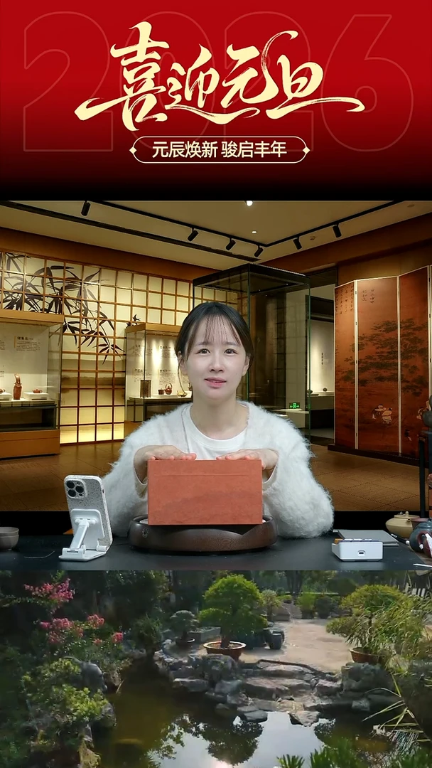 紫砂盖子1号链接