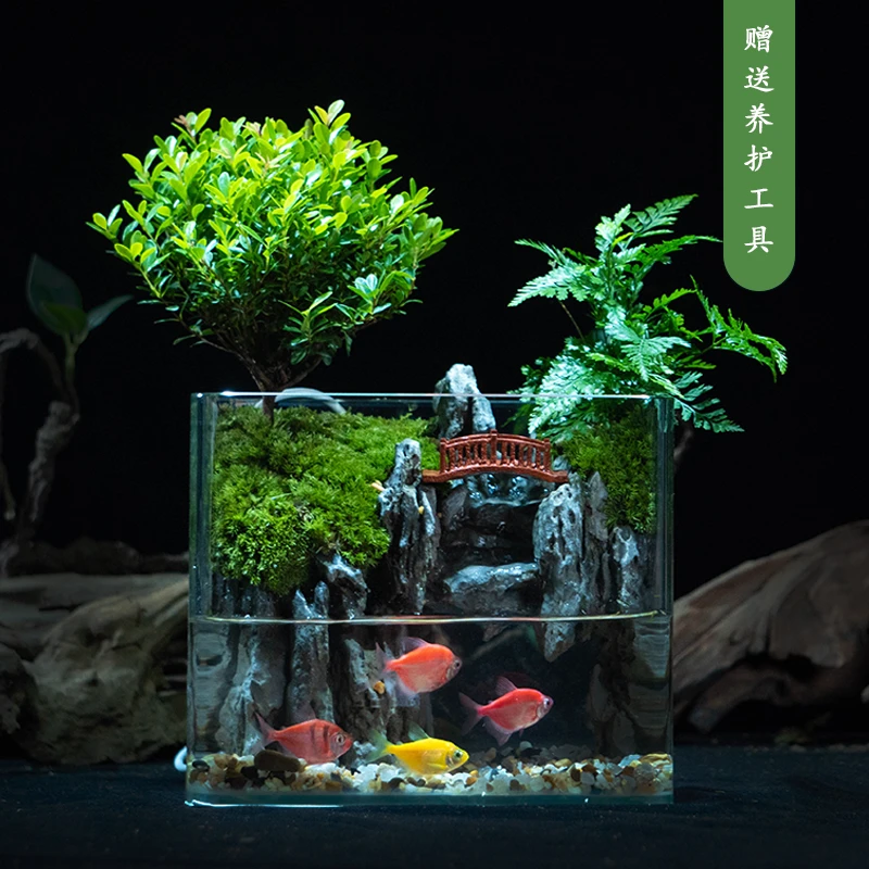 【江南】小叶赤楠国风山水造景桌面景观懒人植物18*13*15