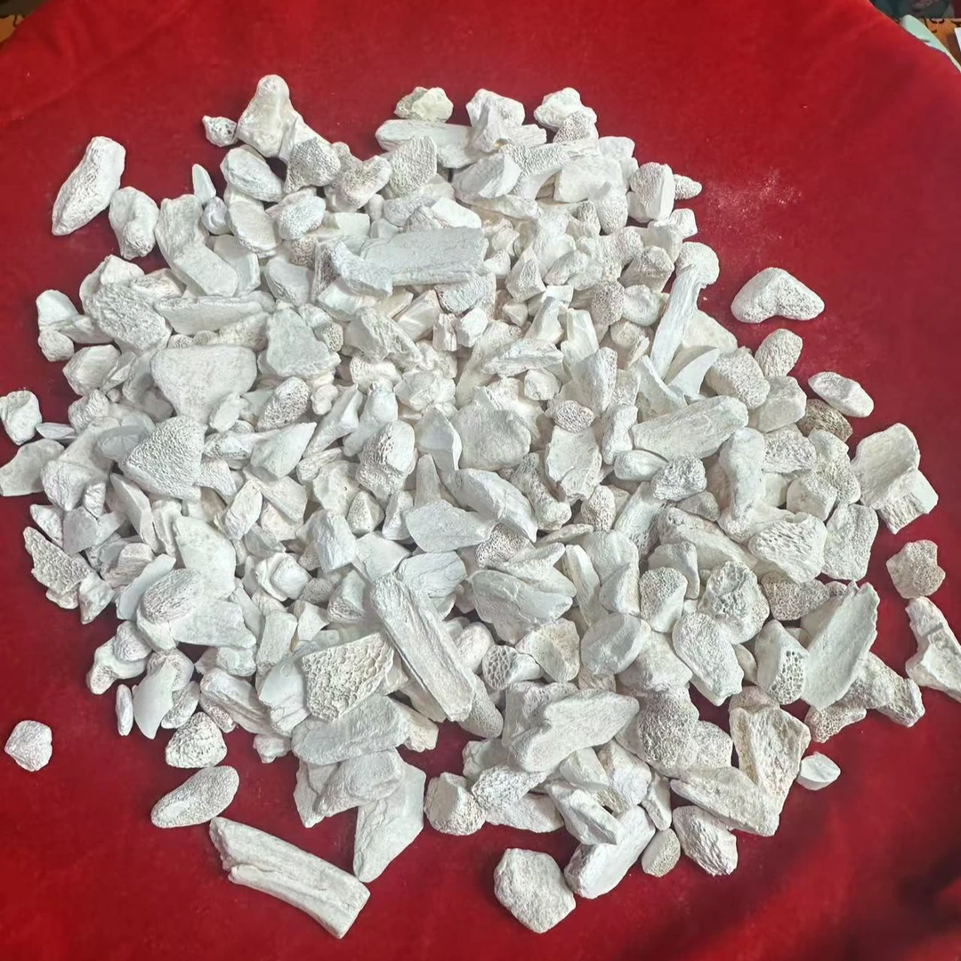 1 【龙-骨】净含量：50g-500g【小英现收】