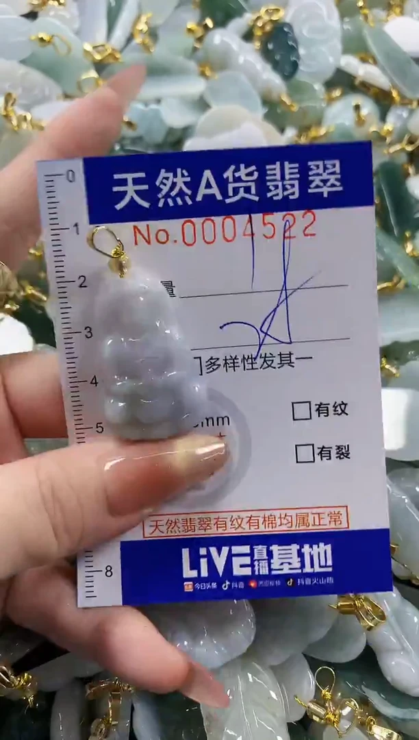 颈饰未镶嵌翡翠天然A货翡翠