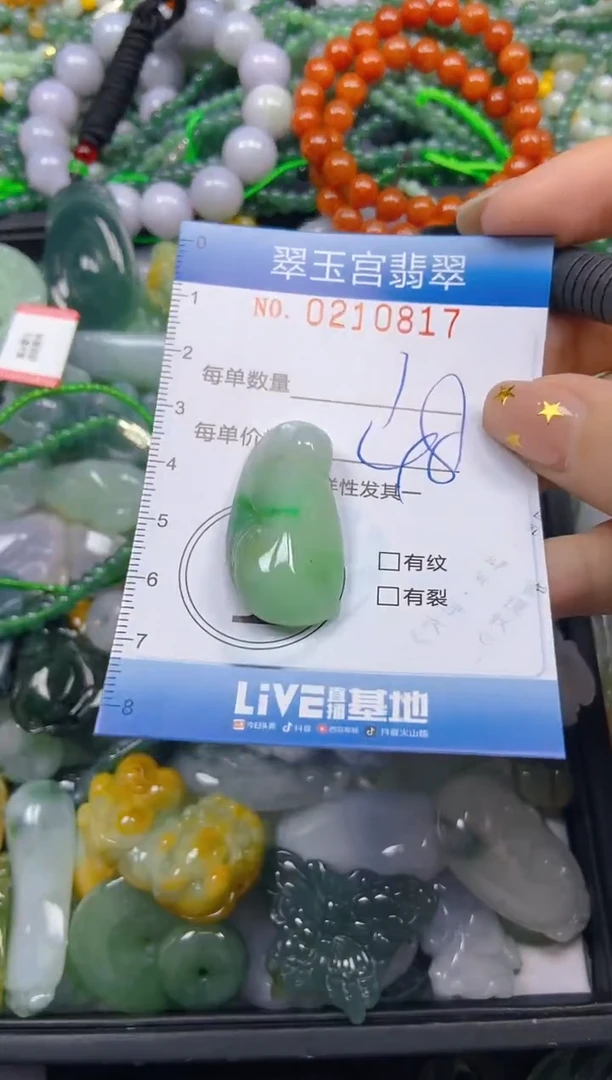 颈饰未镶嵌翡翠闪购C0210817
