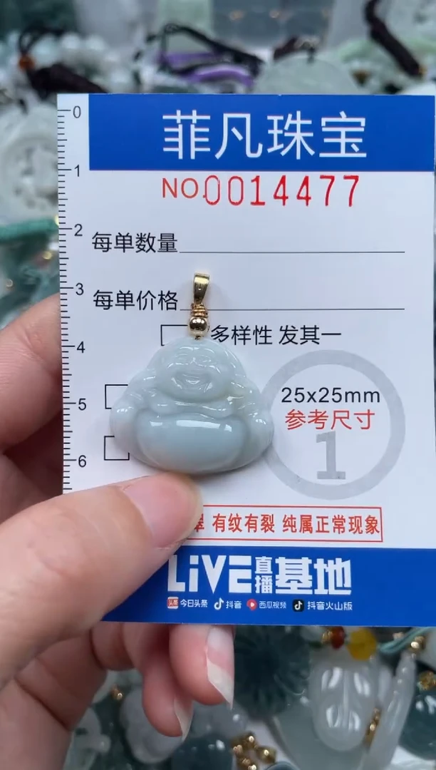 颈饰未镶嵌翡翠14477