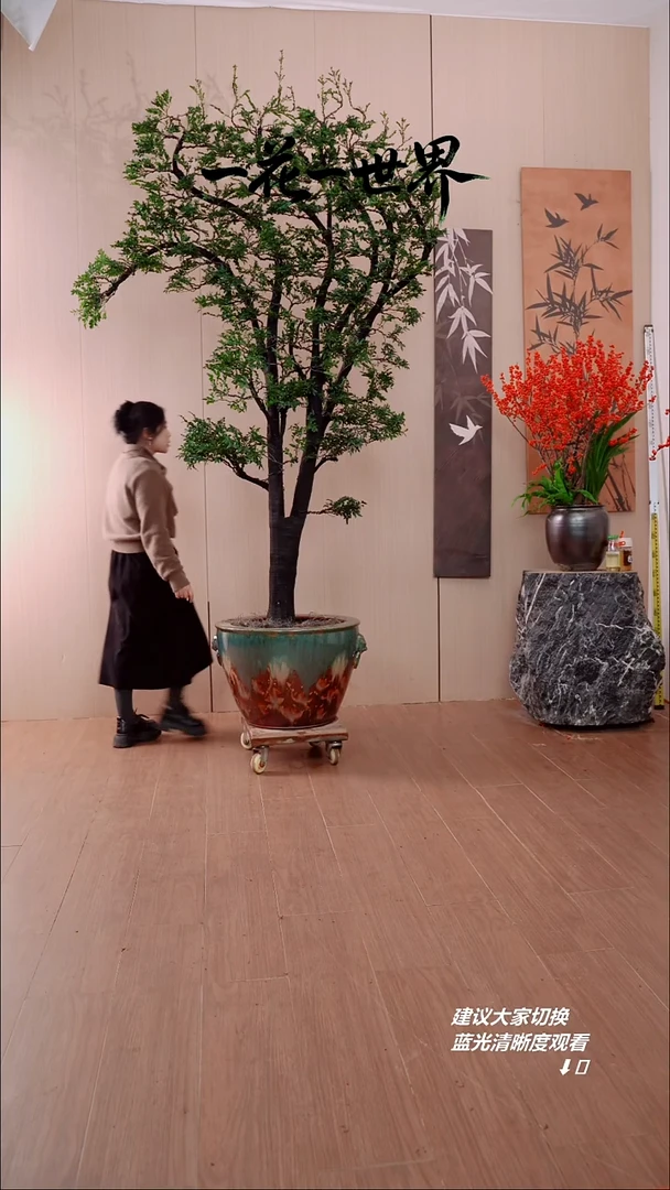 完全开放蓝****)广东小叶紫檀黑骨茶