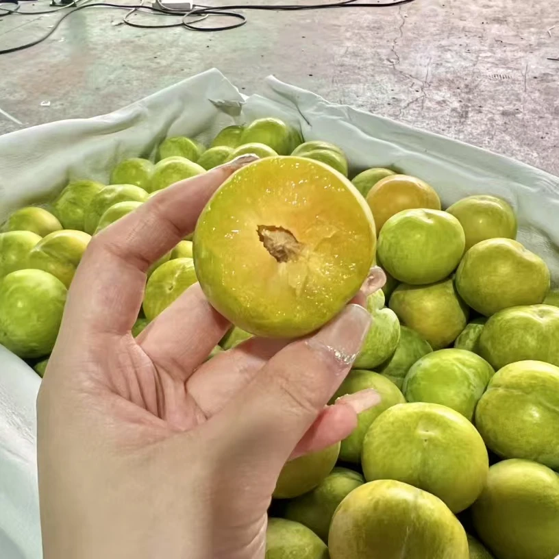 正宗贵州镇宁六马蜂糖李 中果 脆甜可口 皮薄肉厚九甜一酸