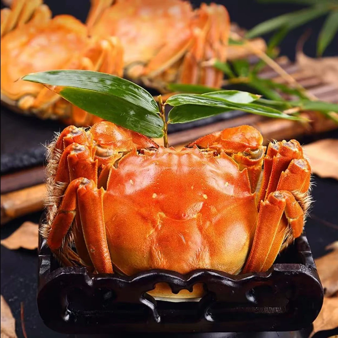 【活蟹】精品大闸蟹公3.2-3两/只*5只母2.2-2两/只*5只顺丰礼盒