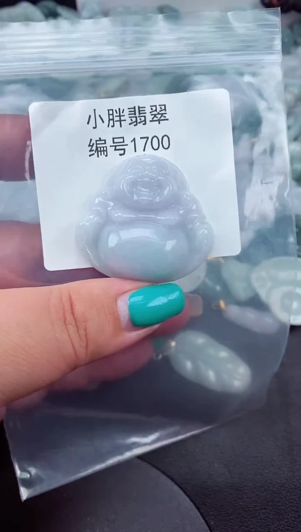 颈饰未镶嵌翡翠缅甸天然A货翡翠1700