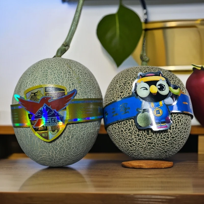 【安徽卷王】网纹瓜海南省