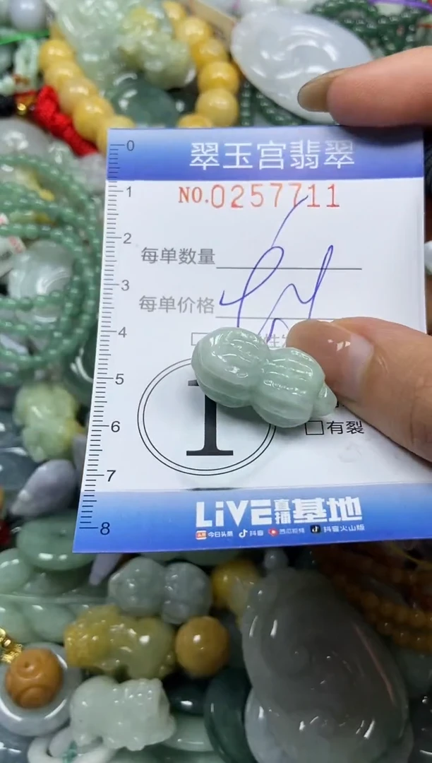 颈饰未镶嵌翡翠闪购C0257711