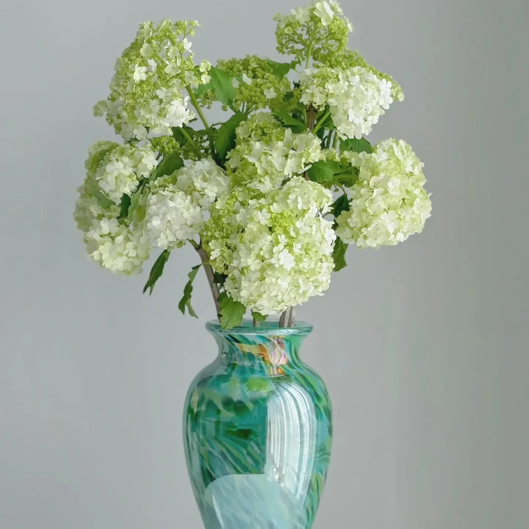 【小花优选】春天里的木绣球