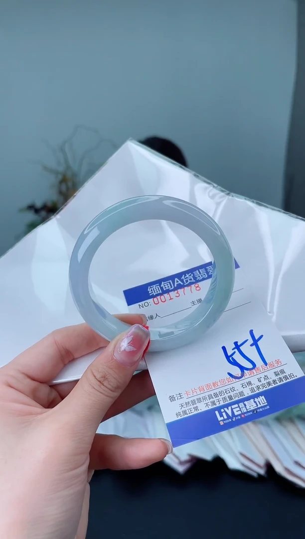 未镶嵌手镯翡翠2