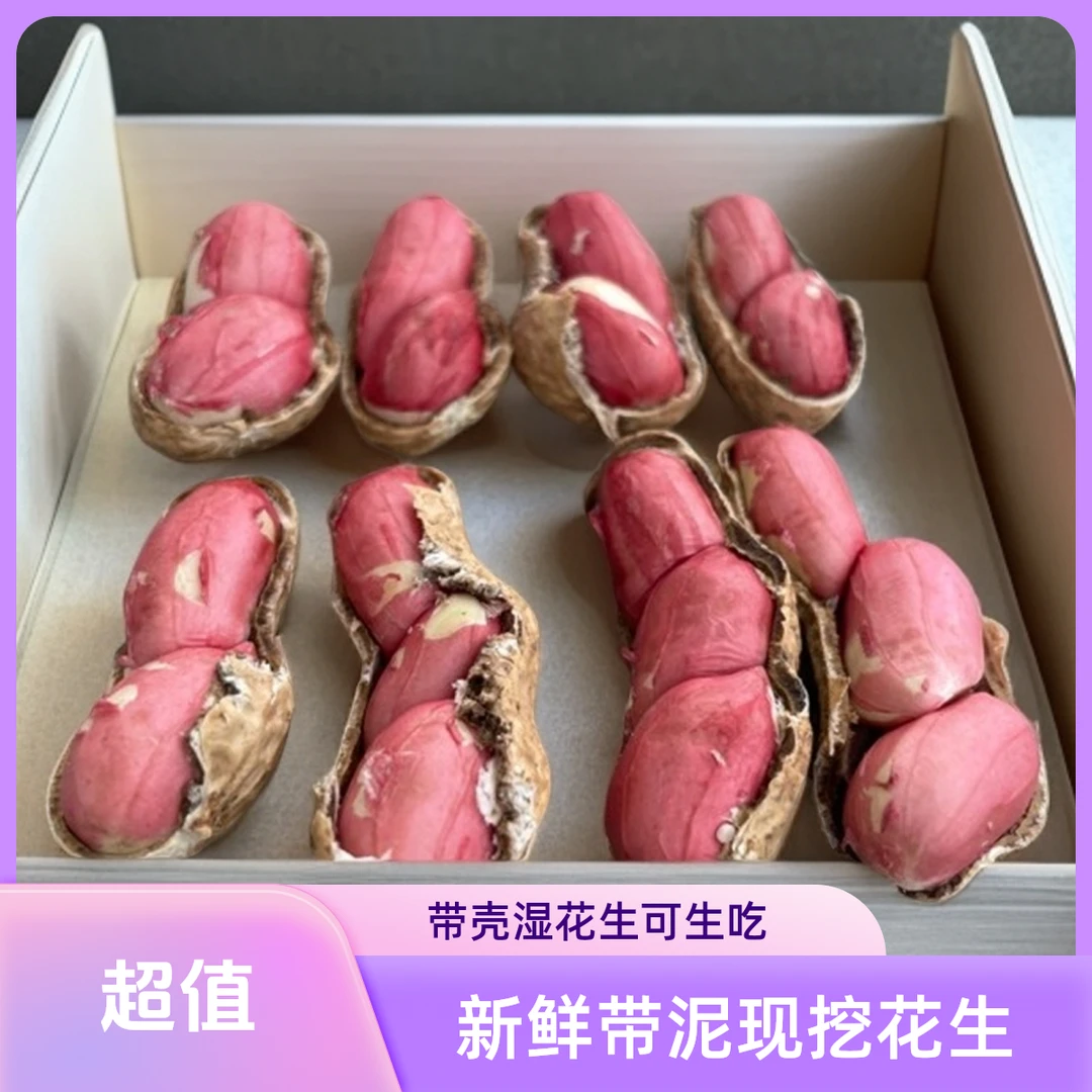 【水果】新鲜带泥现挖带壳湿花生可生吃水煮自种红皮水果鲜花生