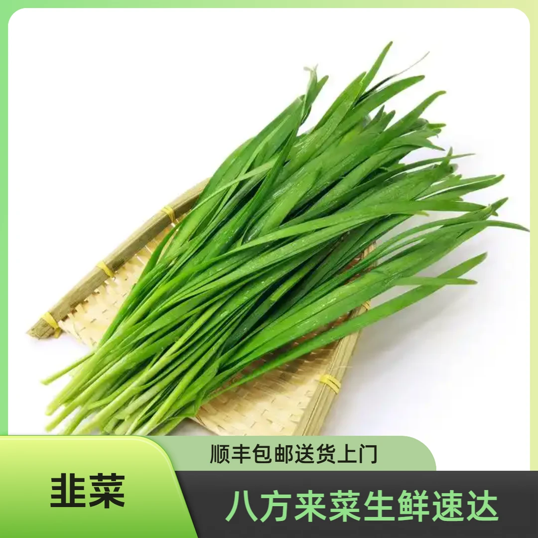 韭菜 约300g±10g/份绿色蔬菜