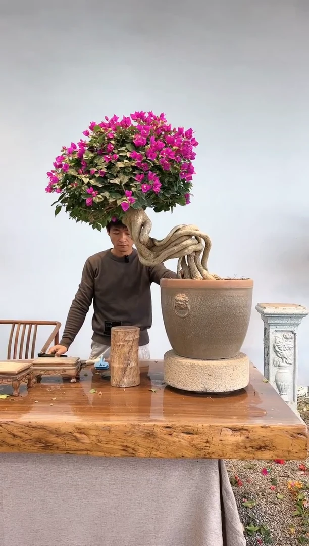 【闪购商品】aa927