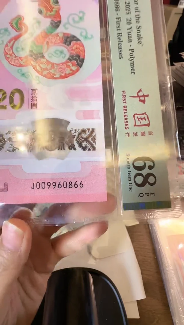 塑料2025蛇钞单张啊啊啊啊啊