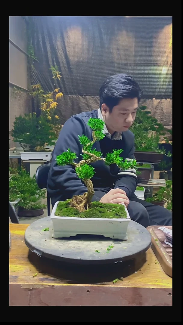 完全开放永****材000