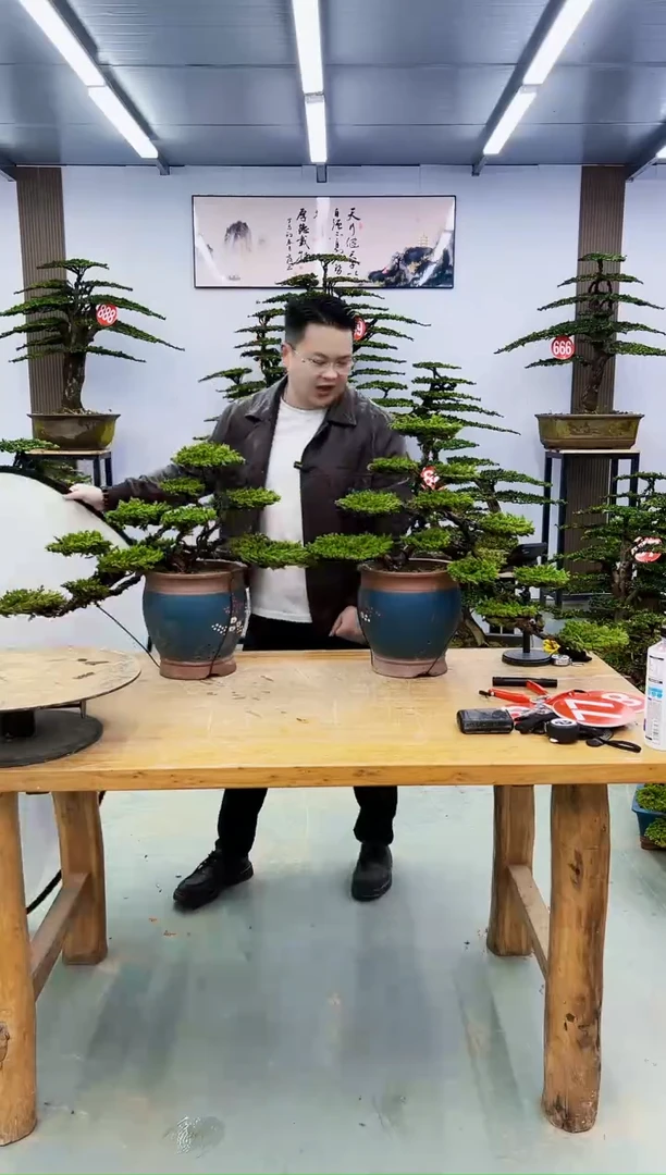 无花朵000000000000