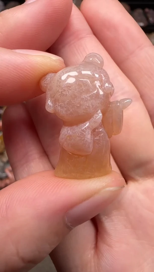 硅化珊瑚（珊瑚玉）未镶嵌颈饰098