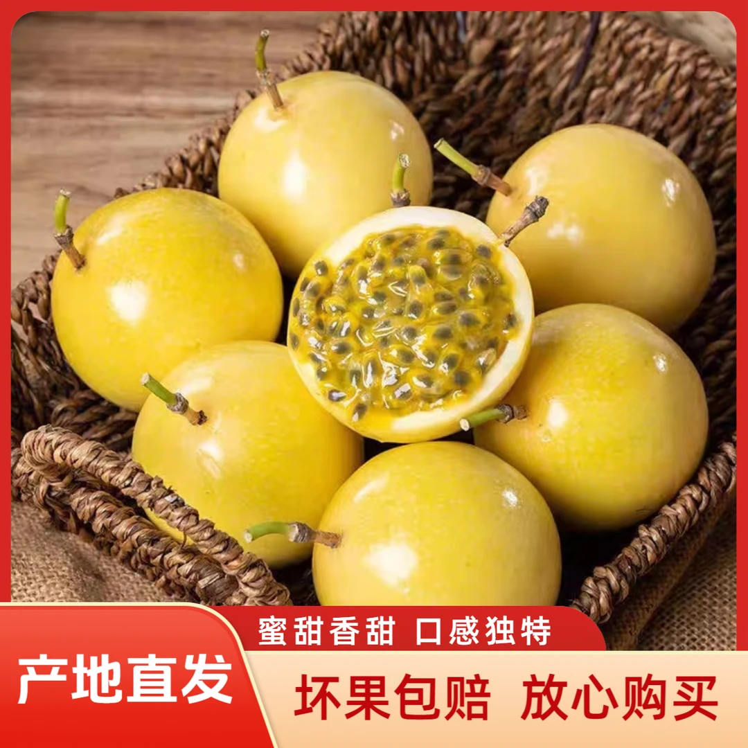【坏果包赔】福建黄金百香果钦蜜九号 微酸香甜 产地直发孕妇水果