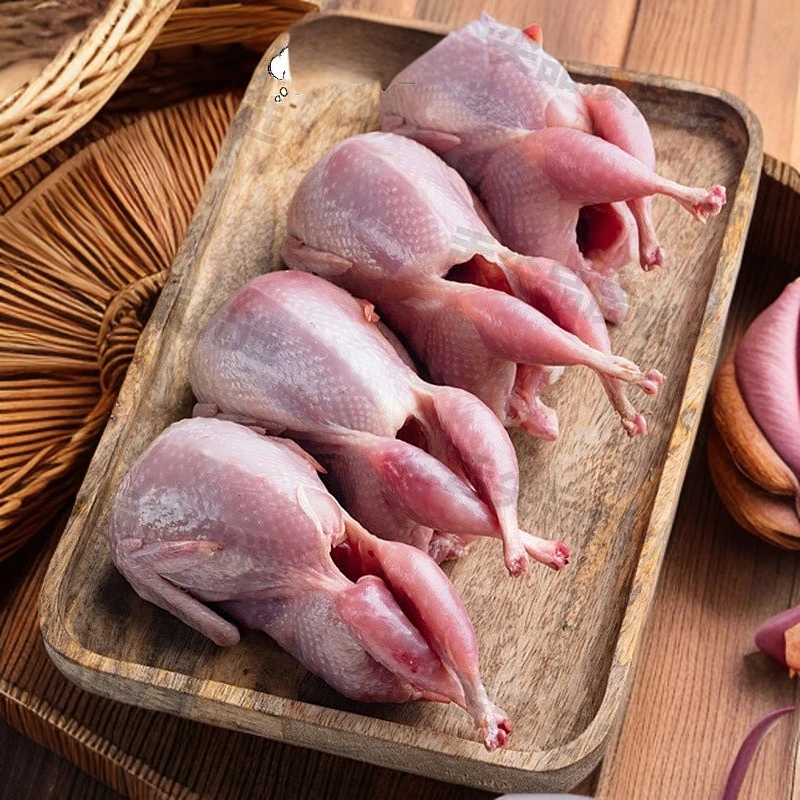 【顺丰包邮】鲜活鹌鹑速冻非乳鸽烧烤鹌鹑生鲜鹌鹑10/只白条烧烤油