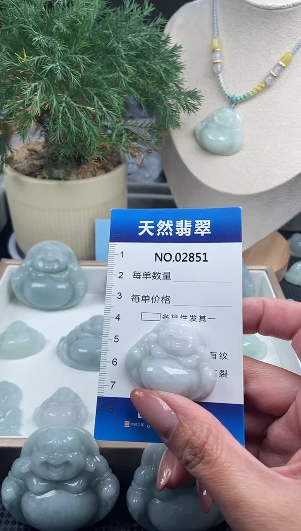 颈饰未镶嵌翡翠纯天然A货翡翠2851