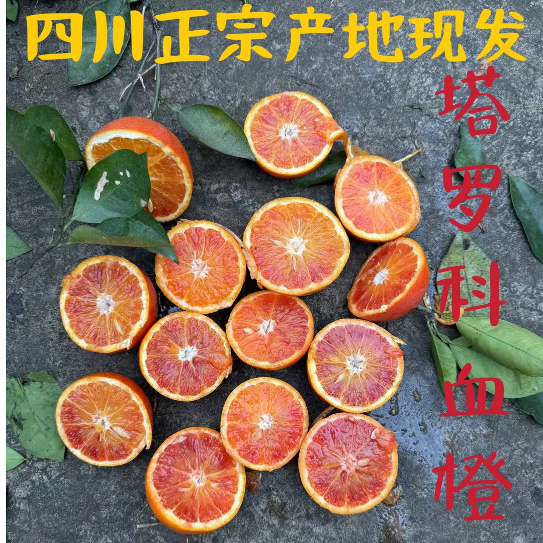 【村书水果】正宗四川塔罗科血橙新鲜自然成熟果肉饱满产地现摘现发