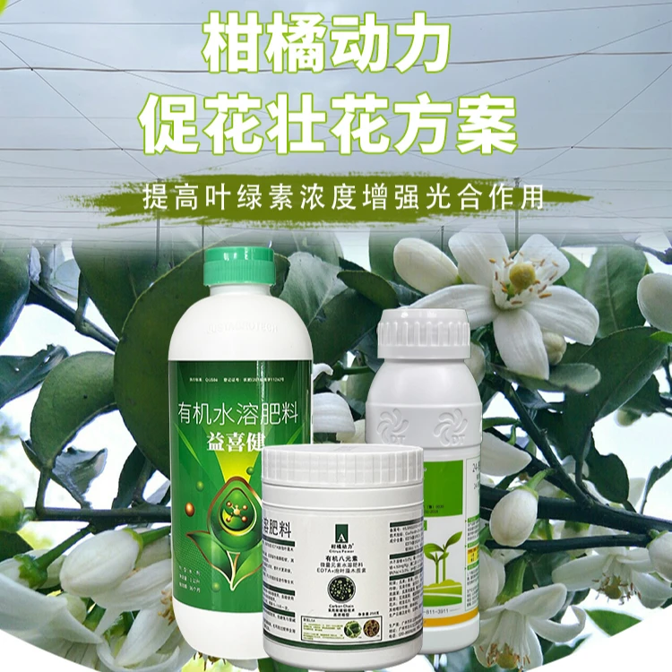 柑橘动力促花壮花方案低温修复激活授粉减少畸形花果比例叶面喷施