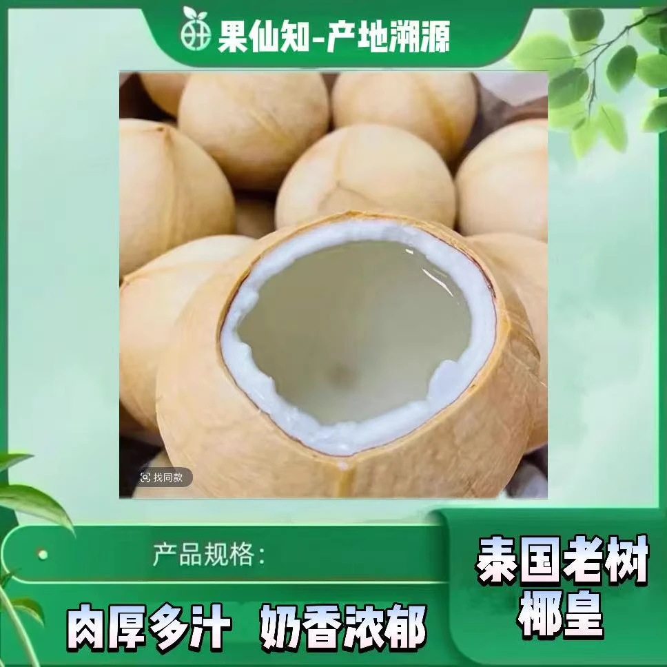 【泰国老树】奶香椰皇大果【5颗】