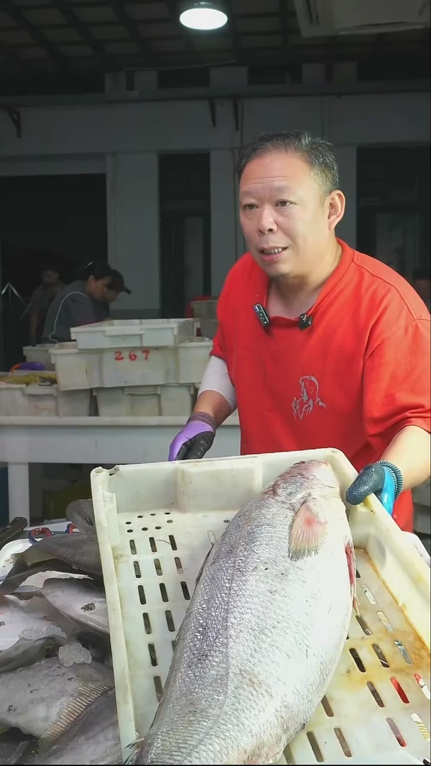 罗老板东海野生大米鱼