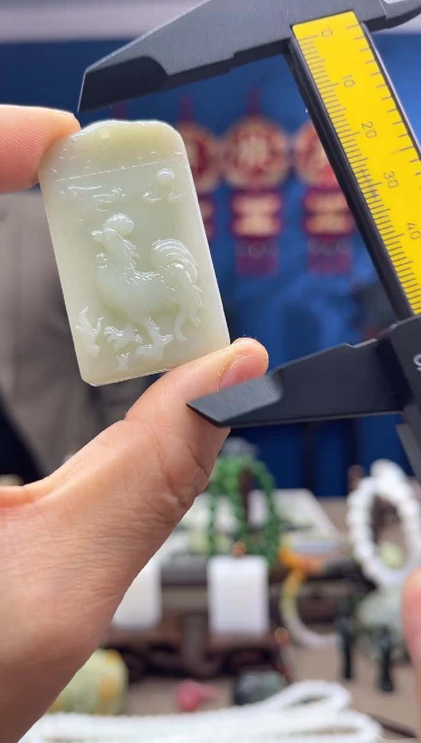 【闪购商品】南红玛瑙颈饰未镶嵌1