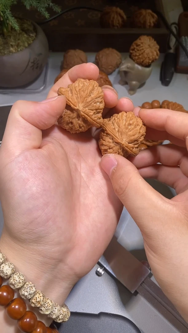 文玩核桃把件6号 40全品三角白狮子核桃