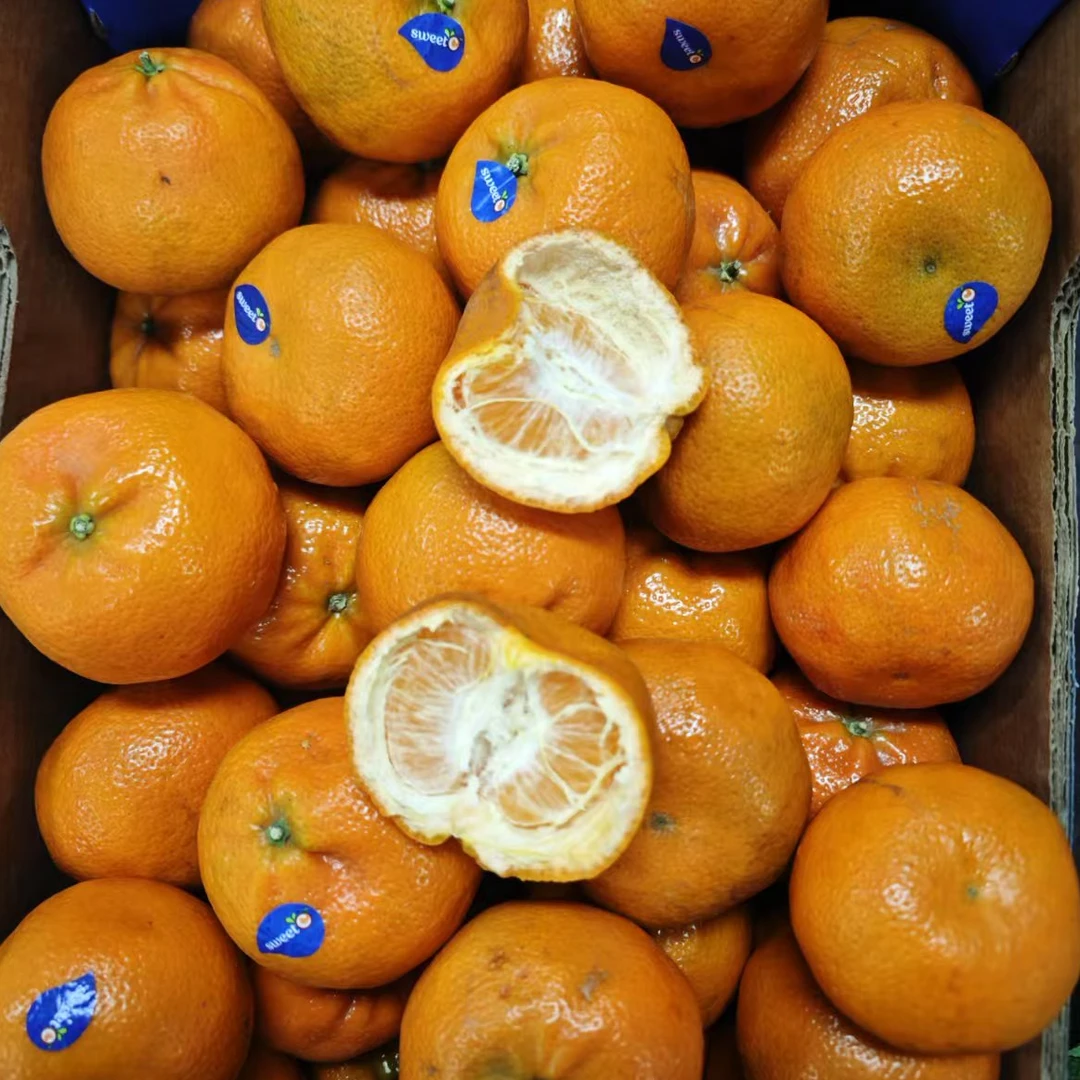 【散装】柯莱蒙软皮柑 3斤 仅大同市平城区云冈区可拍