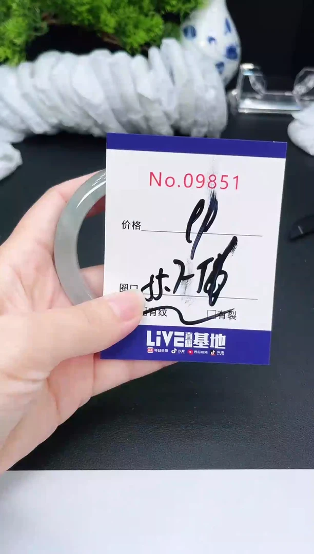 未镶嵌手镯翡翠9851