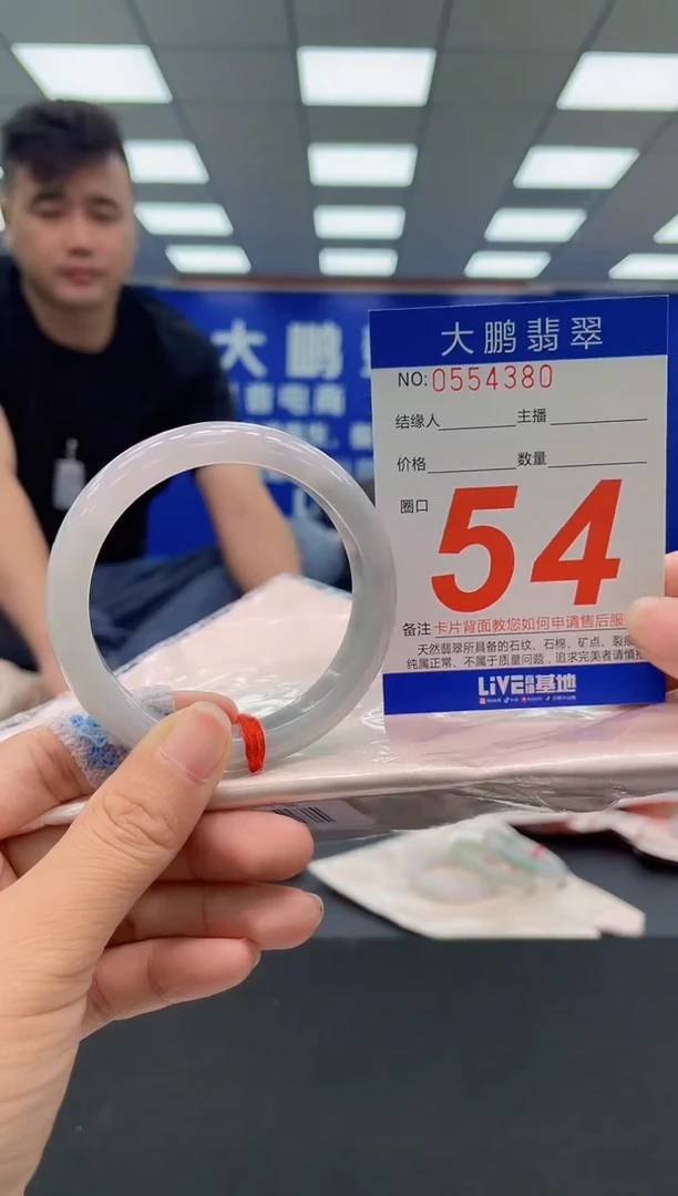 未镶嵌手镯翡翠AAAAAAAAA