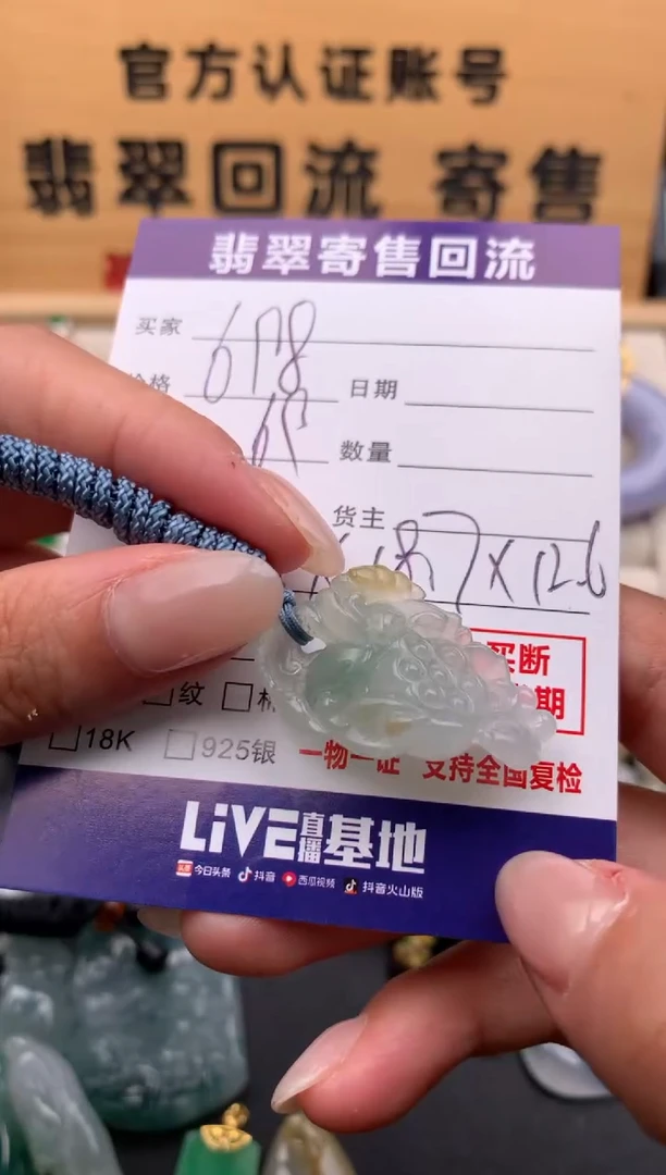 翡翠未镶嵌颈饰10133994