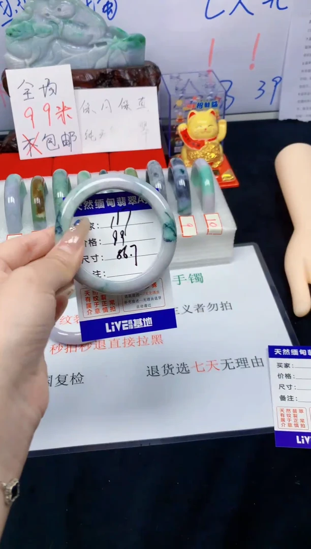 未镶嵌手镯翡翠117