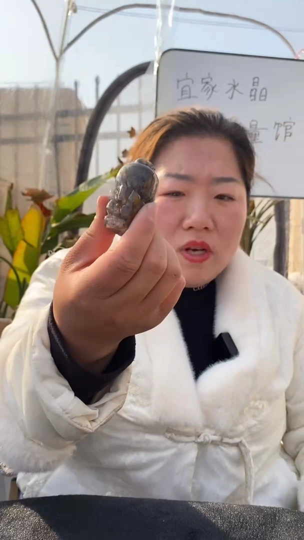 【闪购商品】水晶貔貅未镶嵌极光23貔貅DD357