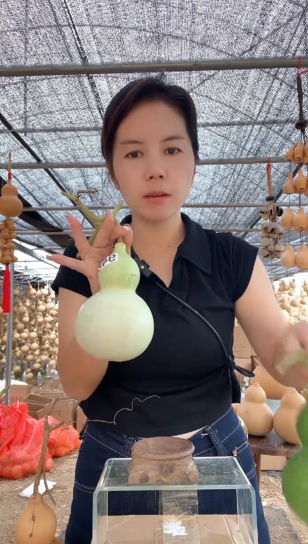 948天然葫芦摆件 一物一拍龙头不保售后微瑕疵