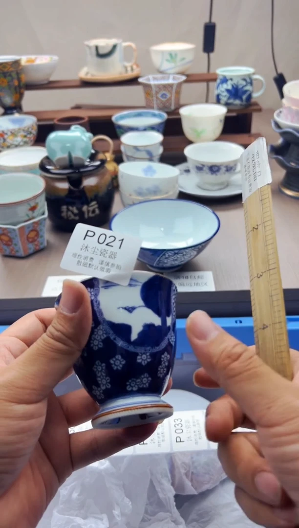 瓷片          P021