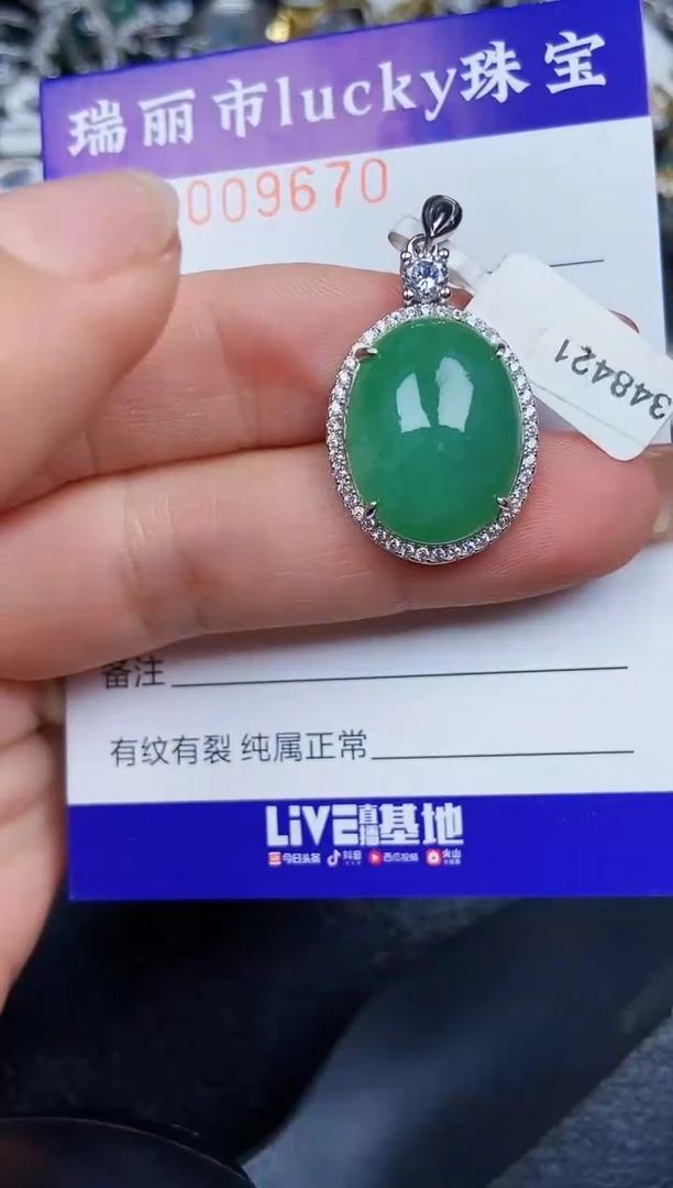 翡翠银S925镶嵌颈饰9670