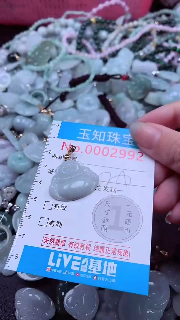 翡翠未镶嵌吊坠(不含链)2992